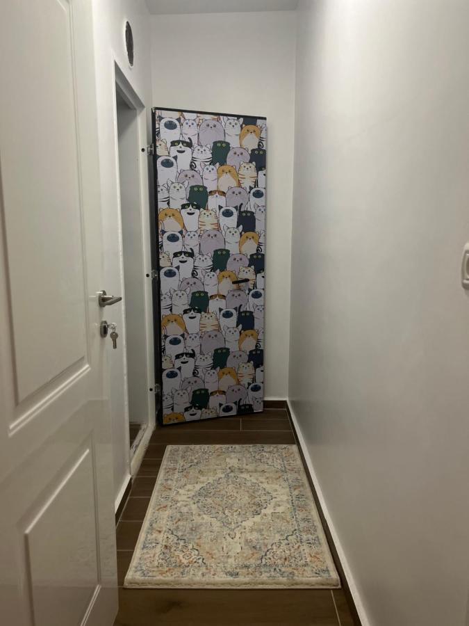 Lana'S Guest House Hurfeish Ngoại thất bức ảnh